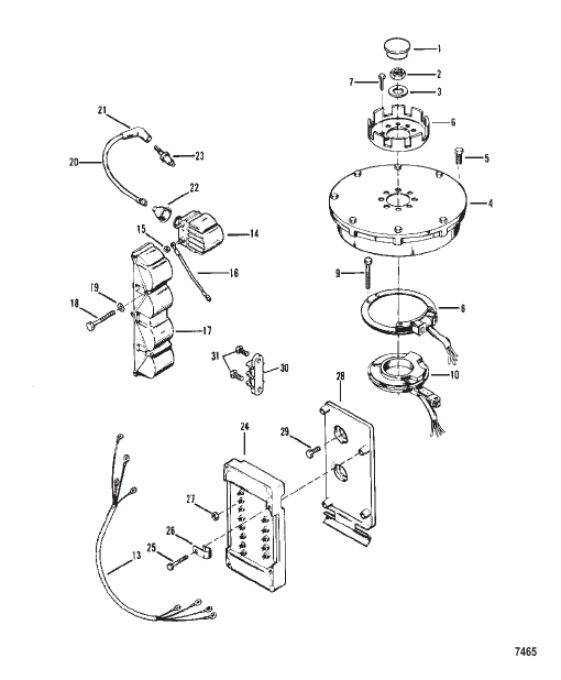 Flywheel Ignition Coil and Switch Box
