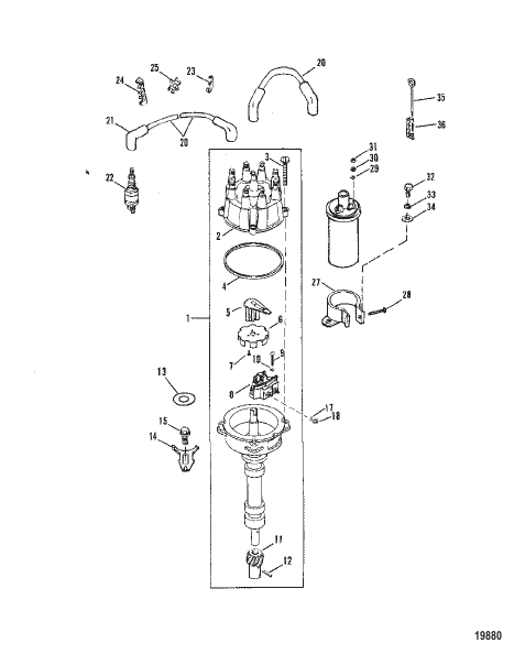 Distributor and Ignition Components