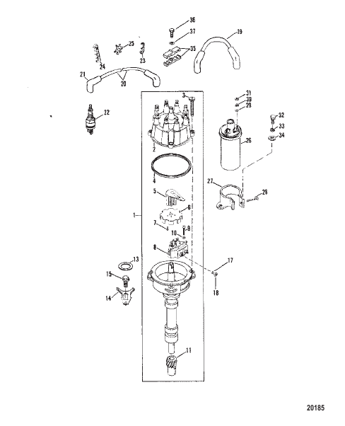 Distributor and Ignition Components