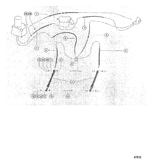 TRIM CYLINDERS AND HYDRAULIC HOSES
