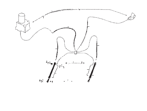 TRIM CYLINDERS AND HYDRAULIC HOSES (EXTERNAL LINE)