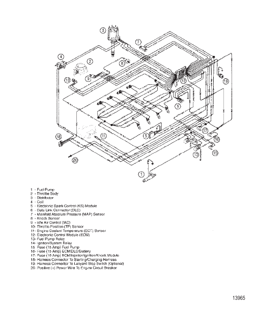 Electrical Components (EFI Wire Harness)