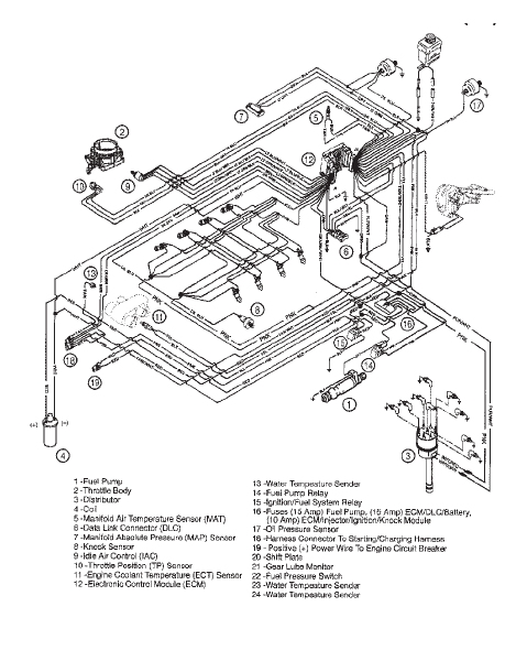 Wiring Harness (EFI)