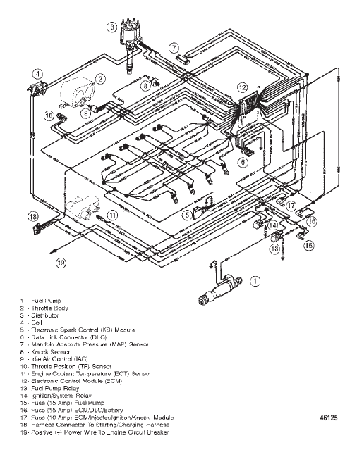 WIRING HARNESS (EFI)
