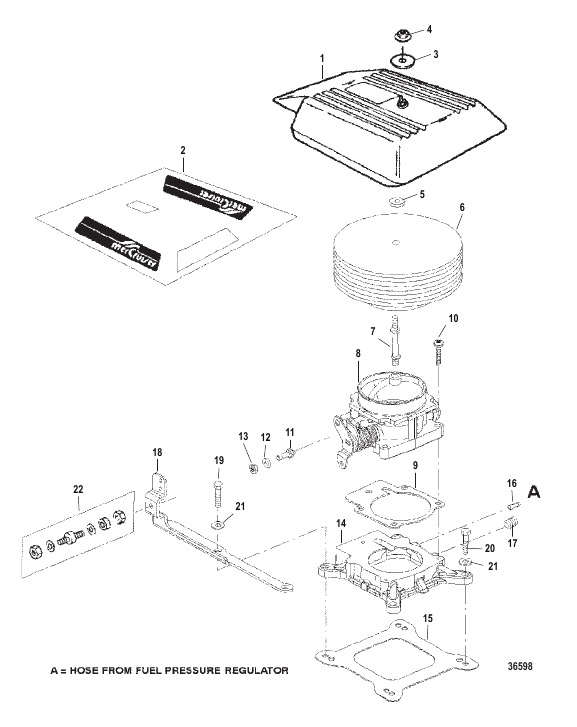Throttle Body and Flame Arrestor