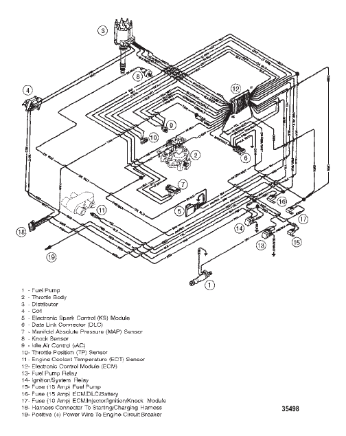 WIRING HARNESS (EFI)