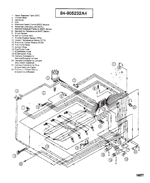 Wiring Harness (EFI)