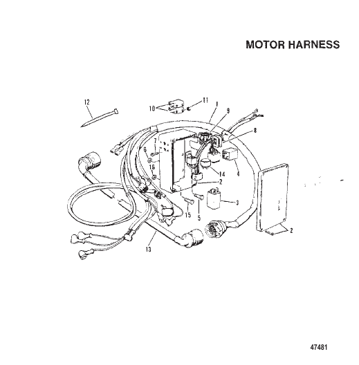MOTOR HARNESS