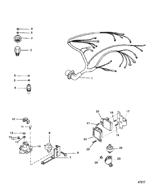 WIRING HARNESS & ELECTRICAL COMPONENTS (THUNDERBOLT V)