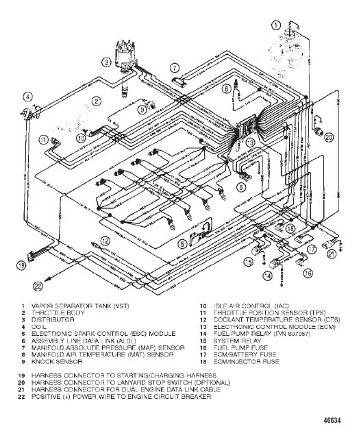 WIRING HARNESS (EFI)
