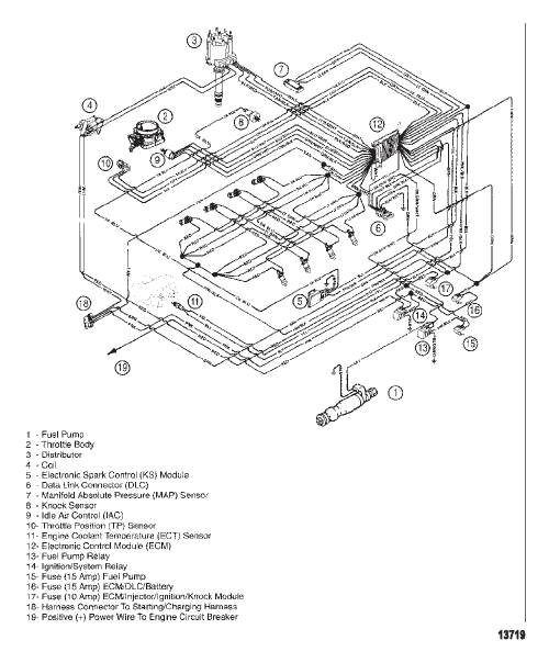Wiring Harness (EFI)