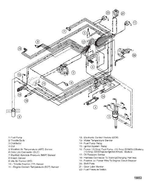 Wiring Harness (EFI)
