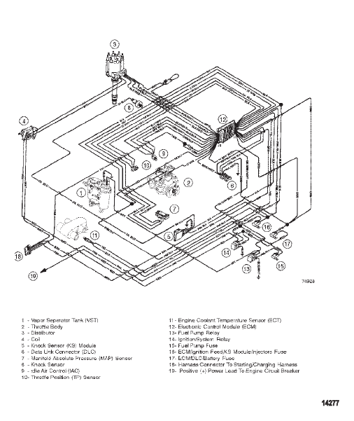 Wiring Harness (EFI)