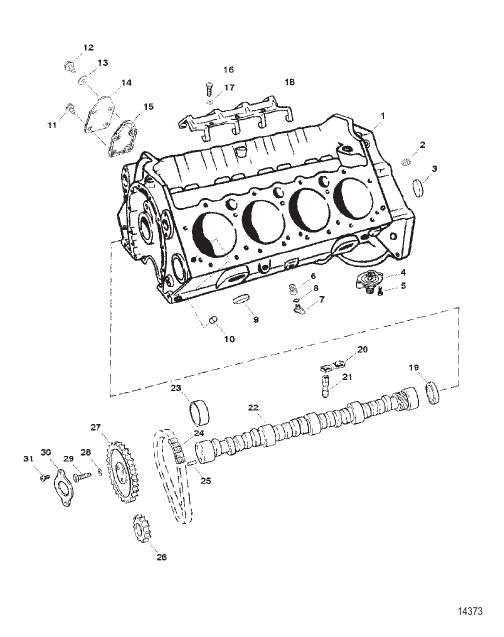 Cylinder Block And Camshaft