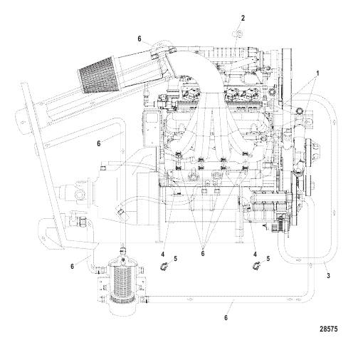 Cooling (Water Hoses And Fittings - Starboard)