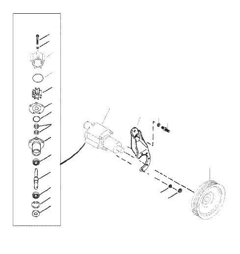 Sea Water Pump Assembly