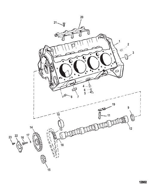 Cylinder Block And Camshaft