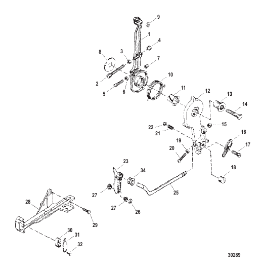 Throttle Lever / Throttle Cam Assembly