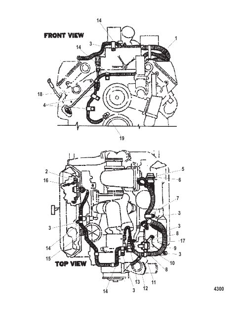 Engine Wiring Harness