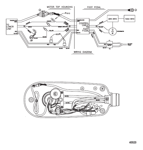 Wire Diagram (TR70LFBD) (TR82LFBD) (24 Volt)