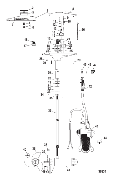 Complete Trolling Motor (TR54FBV / TR54FBD) (12 Volt)