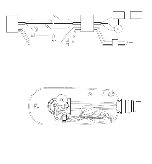 Wire Diagram (TR54FBD) (12 Volt)