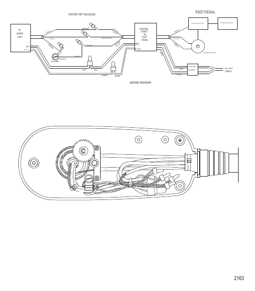 Wire Diagram (TR109FBD) (36 Volt)