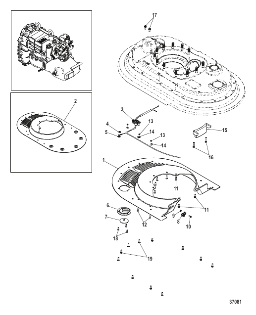 Midsection Lower