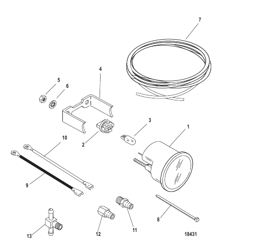 Gauge and Mounting Hardware Water Pressure(2-30 PSI)