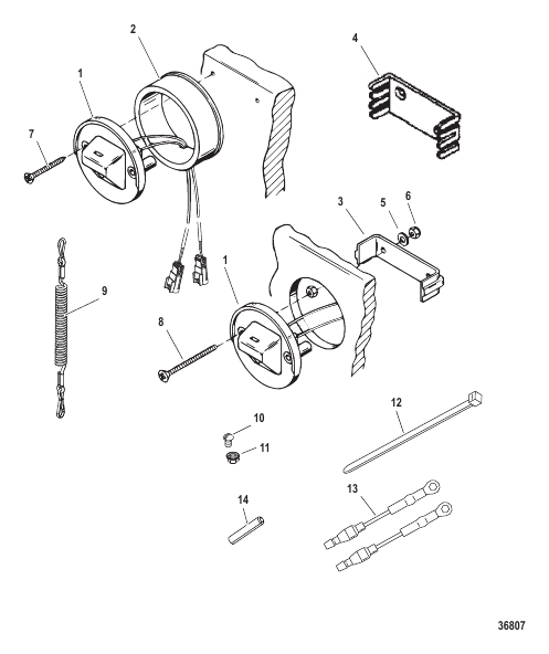 Switch/Lanyard Assembly Dual Engine