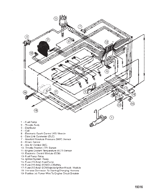 Wiring Harness (EFI)