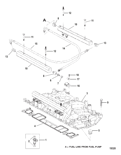 Intake Manifold and Fuel Rails