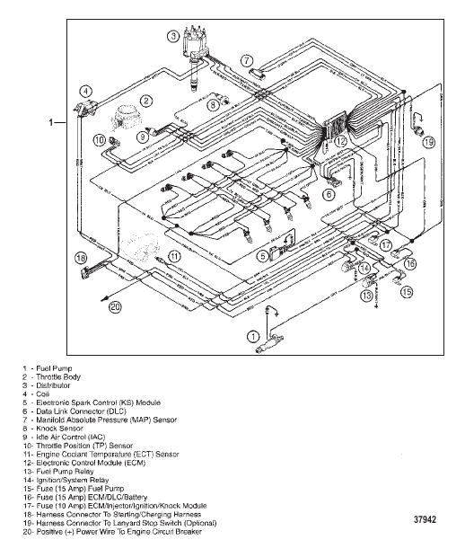 WIRING HARNESS (EFI)