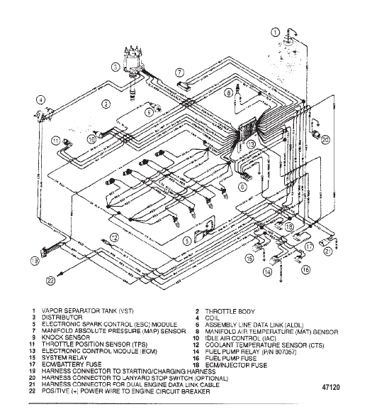WIRING HARNESS (EFI)