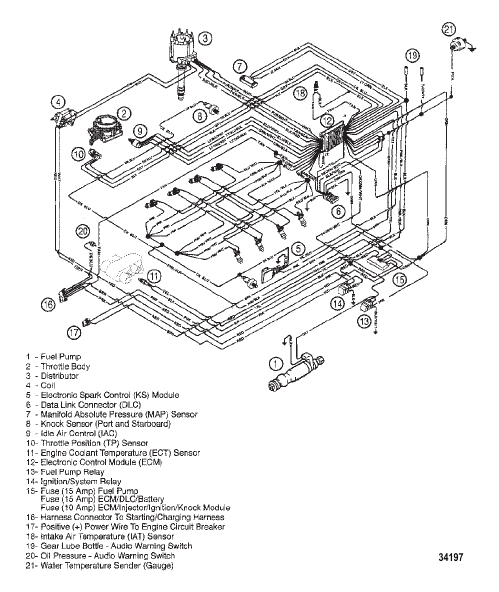 WIRING HARNESS (EFI)