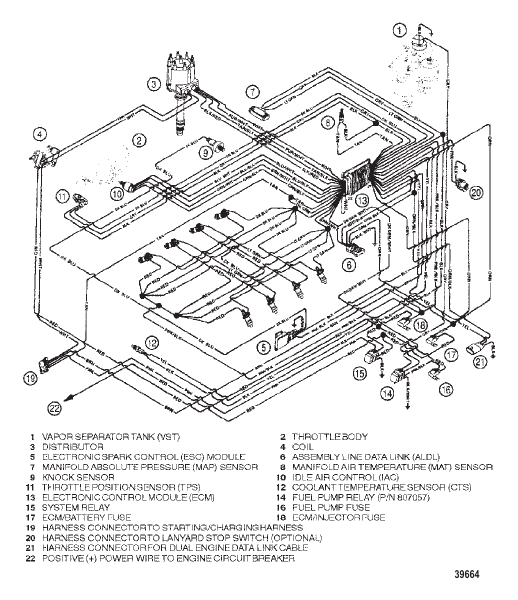 WIRING HARNESS (EFI)