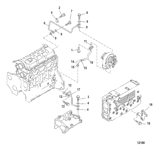 Oil and Vacuum Hoses
