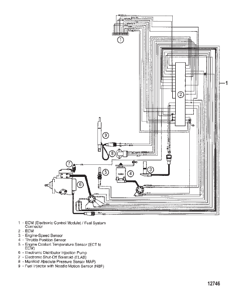 EDI Harness
