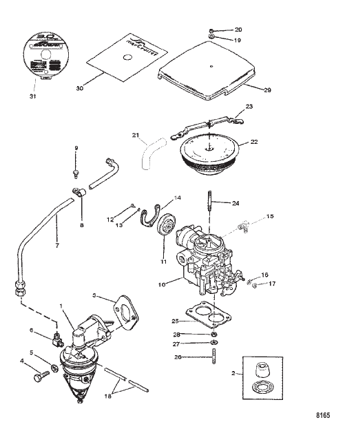 Fuel Pump and Carburetor