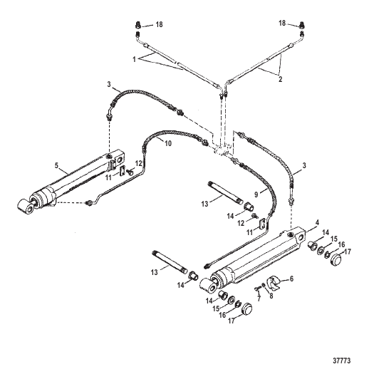 TRIM CYLINDERS AND HYDRAULIC HOSES