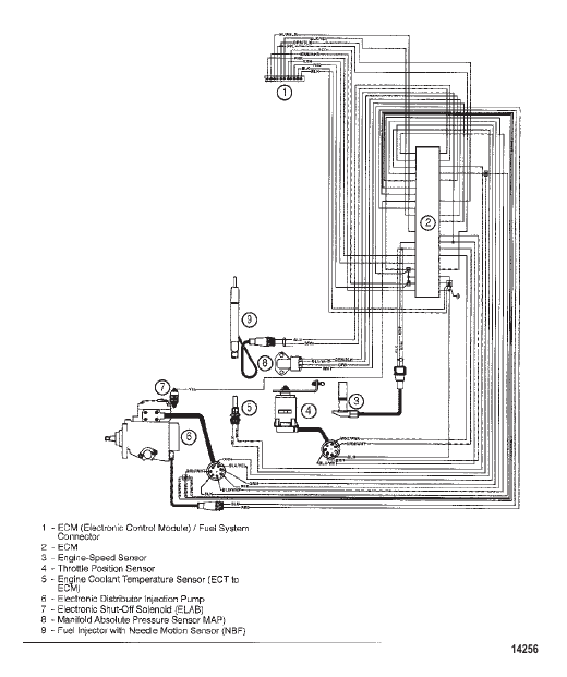 EDI Harness