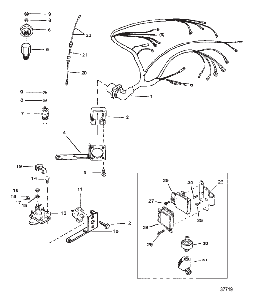 WIRING HARNESS AND ELECTRICAL COMPONENTS