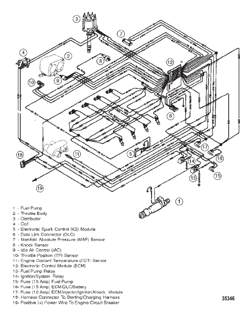 WIRING HARNESS (EFI)