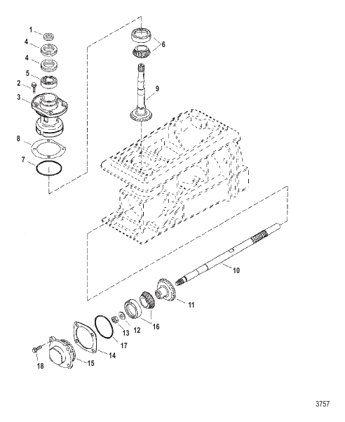 Pinion And Impeller Shaft