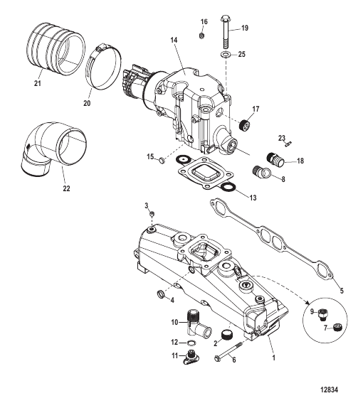 Exhaust Manifold and Elbow