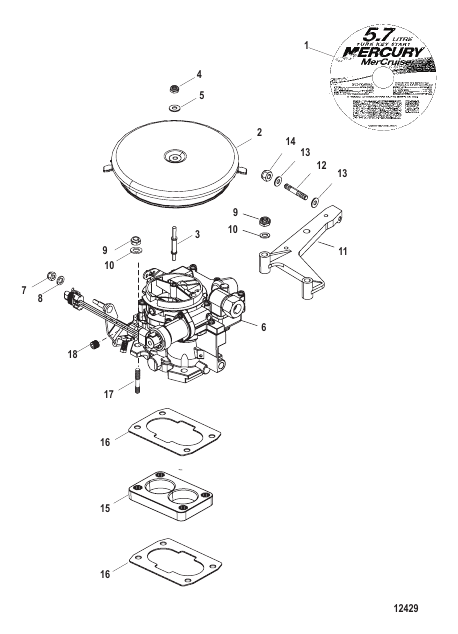 Carburetor and Throttle Linkage
