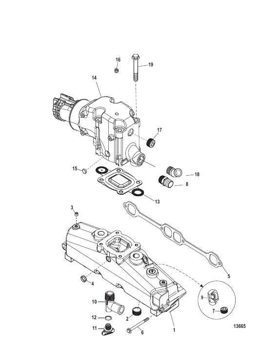Exhaust Manifold and Elbow