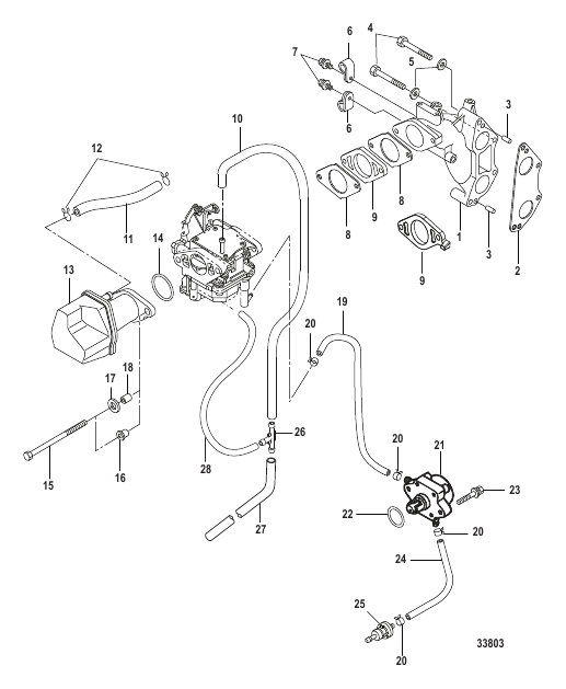Intake Manifold and Fuel Pump