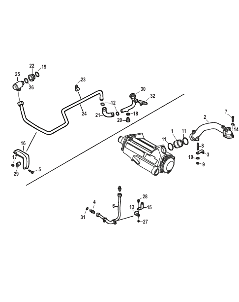 Cooling System Hoses
