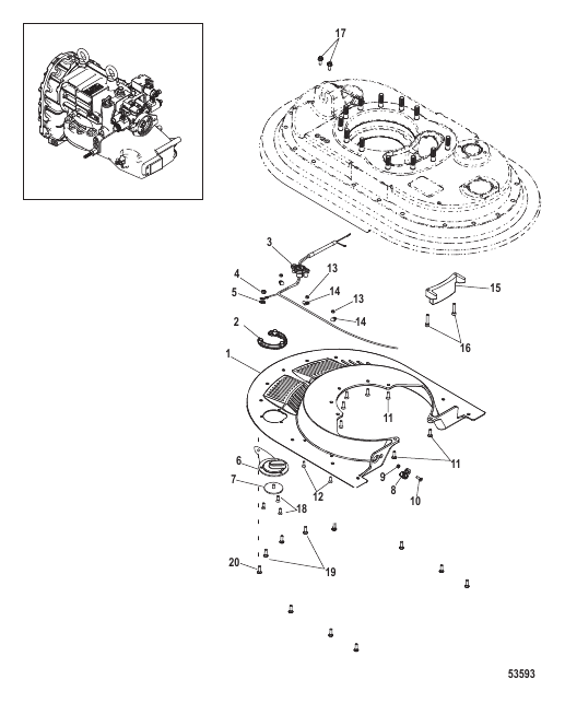 Midsection Lower